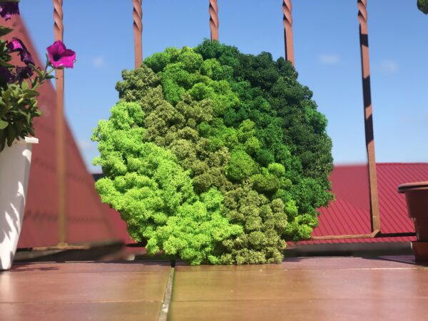 MECH MOSS GREEN WNĘTRZE