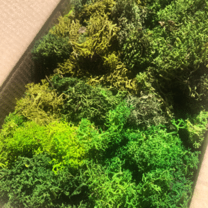 Mech chrobotek skrawki, odpady mix zielonych kolorów 100g