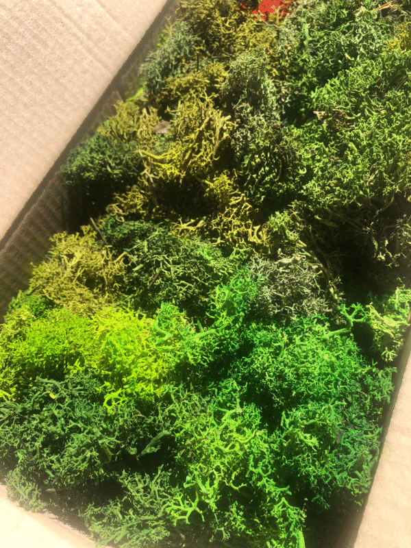 Mech chrobotek skrawki, odpady mix zielonych kolorów 200g - obrazek 2