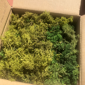 Mech chrobotek skrawki, odpady mix zielonych kolorów 200g
