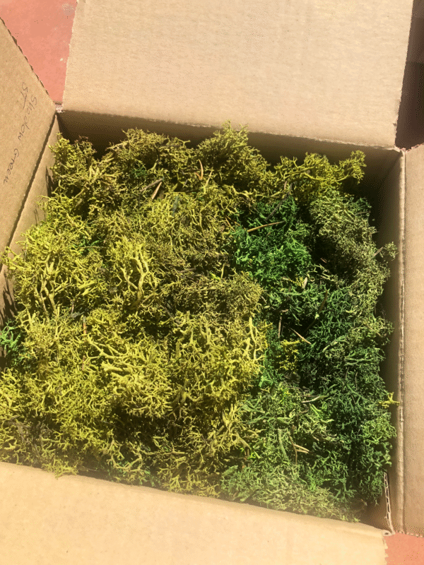 Mech chrobotek skrawki, odpady mix zielonych kolorów 200g