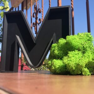 DIY zrób to sam! Ramka w Kształcie Litery A-Z z Chrobotkiem.