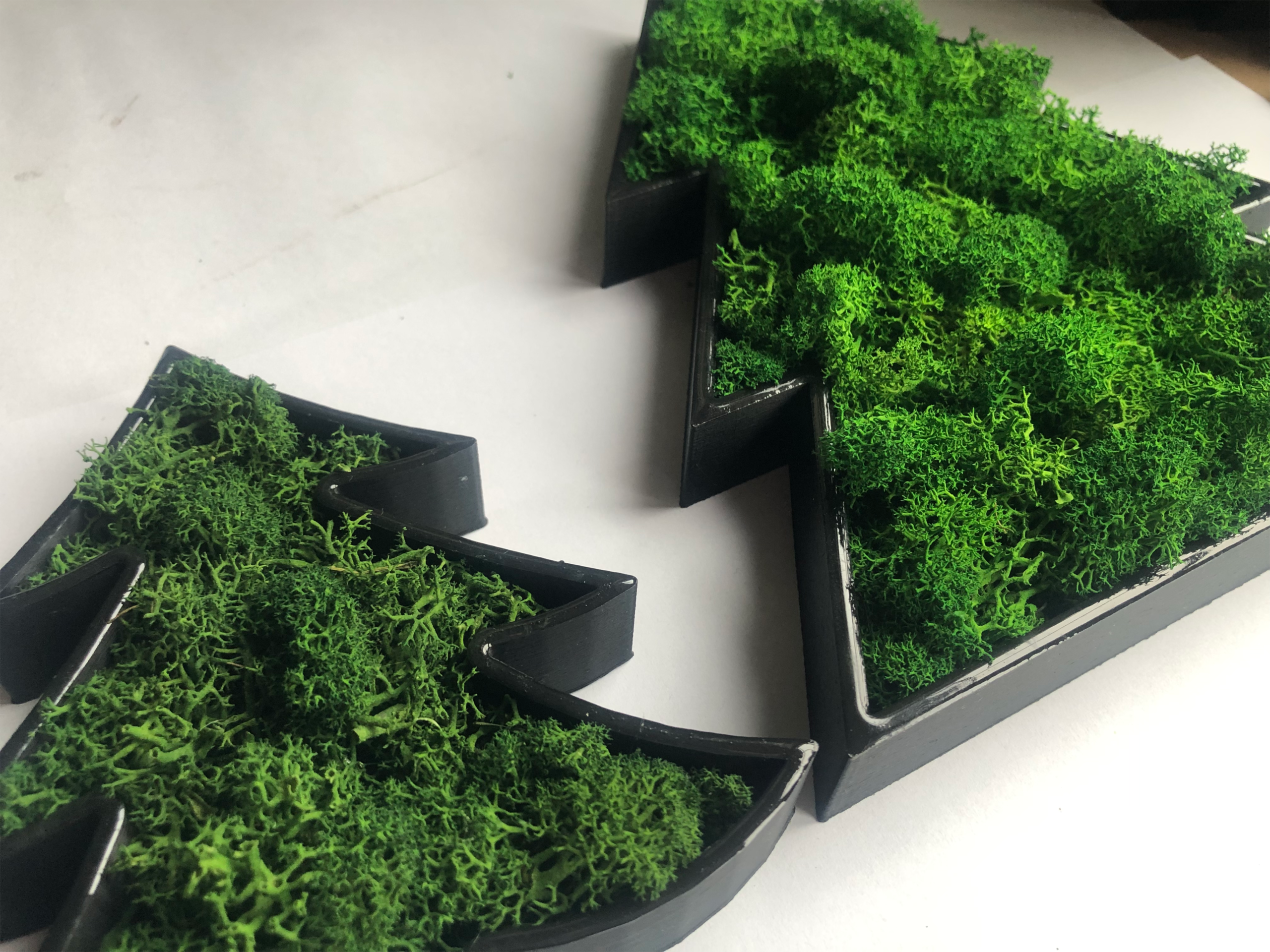 Choinki z chrobotkiem stojące - obrazek 4